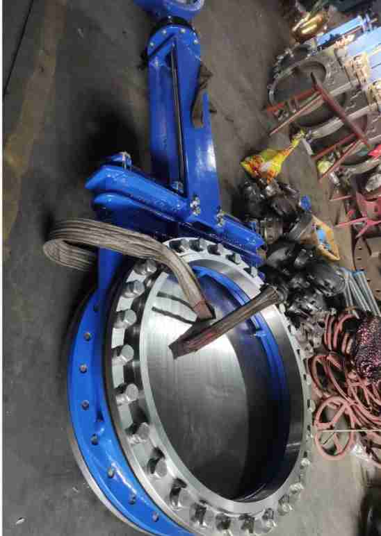 WechatIMG183
