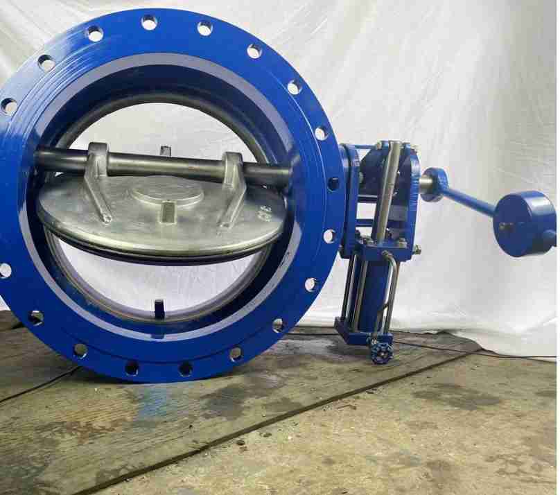 WechatIMG203
