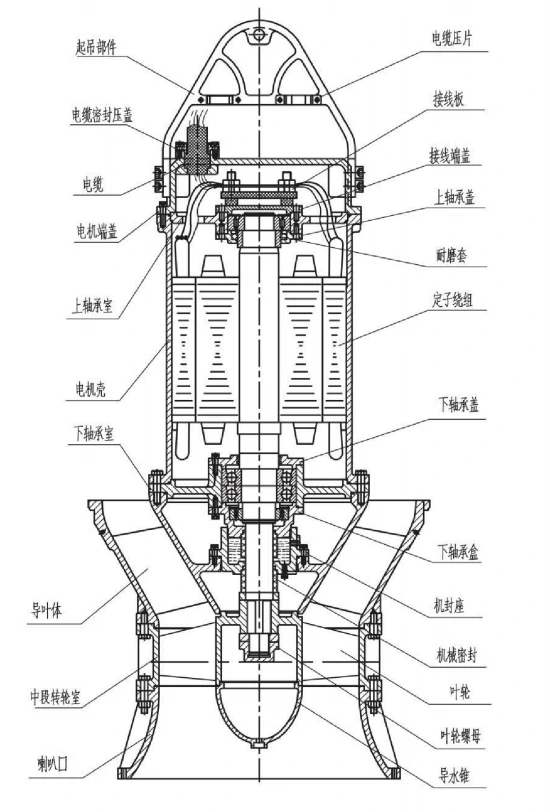 Sectional structure drawing for a ZQB axial-flow submersible pump
